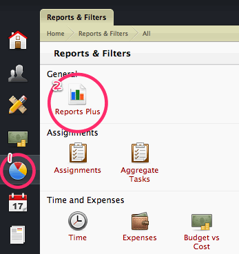 Accessing Reports Plus