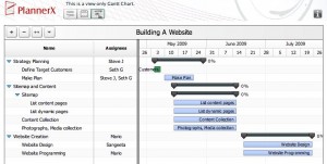 Gantt View
