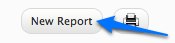 02-new-report