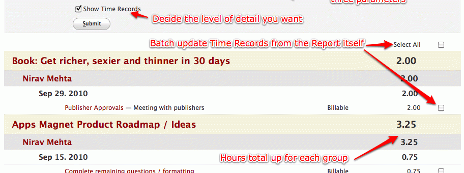 Annotated screenshot of Time Reports Plus - click to enlarge