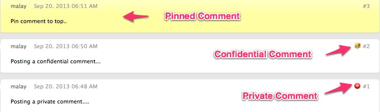 Comments Plus Private and Confidential Comment