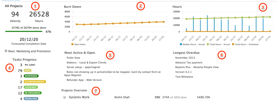 Reports Plus Projects Dashboard
